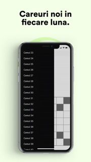 Rebus și Integrame: Careuri screenshot 4