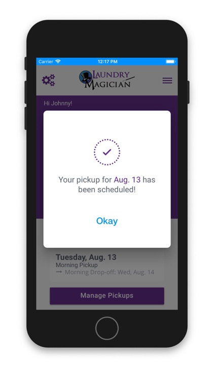 Laundry Magician screenshot-3