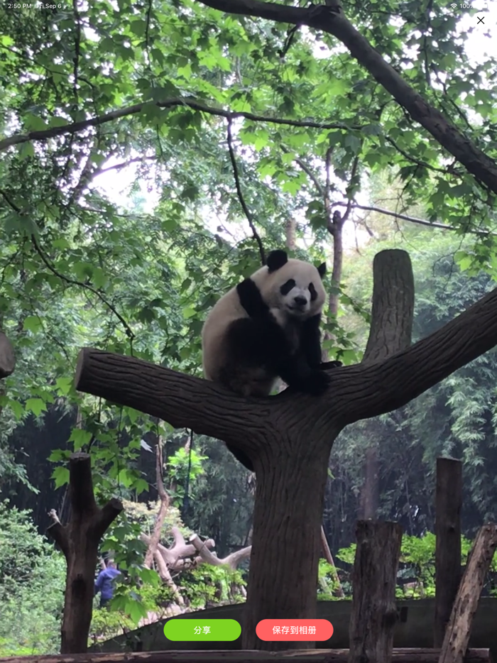 动态壁纸：4k高清主题壁纸