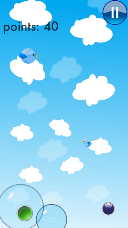 Blue bird sky