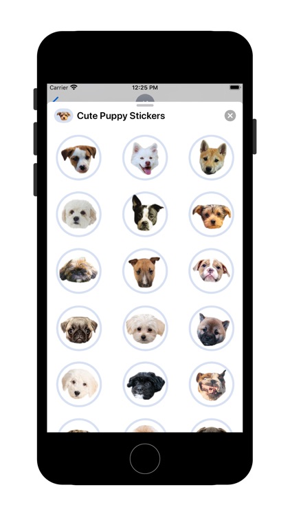 Cute Puppy - Stickers