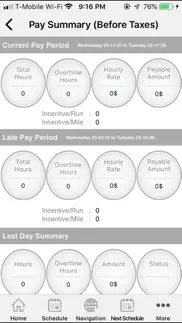 nemt dispatch - geo problems & solutions and troubleshooting guide - 4