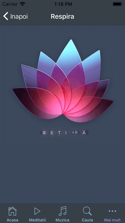 Casa Meditatiilor screenshot-6