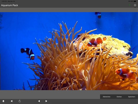 Aquarium Packのおすすめ画像5