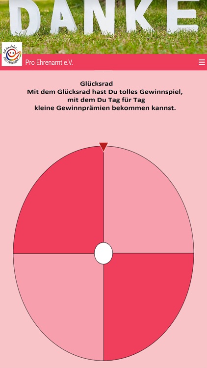 Pro Ehrenamt screenshot-6