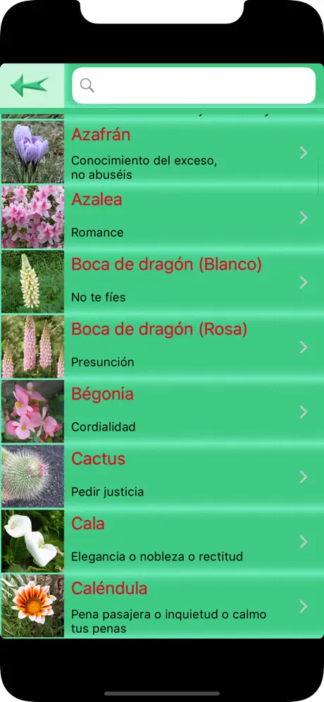 El lenguaje de las Flores