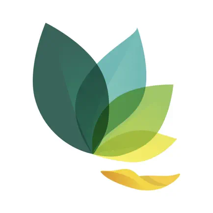 Oak - Meditation & Breathing Cheats