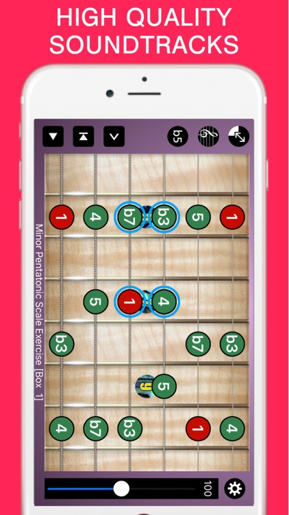 Guitar Bass Solo | PhraseStock
