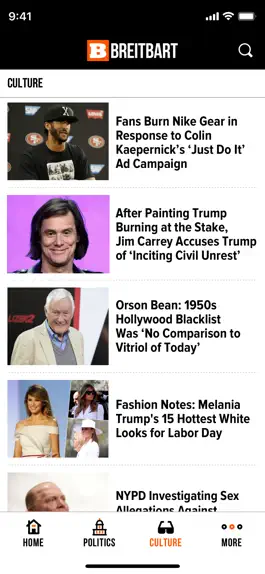 Game screenshot Breitbart hack