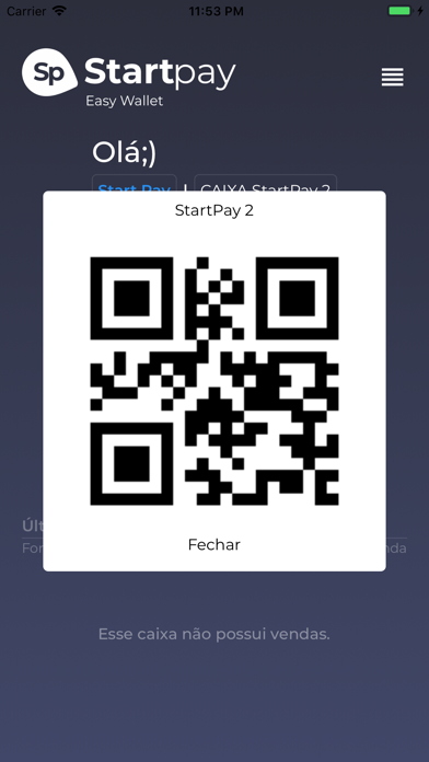 START PAY BUSINESS Screenshot