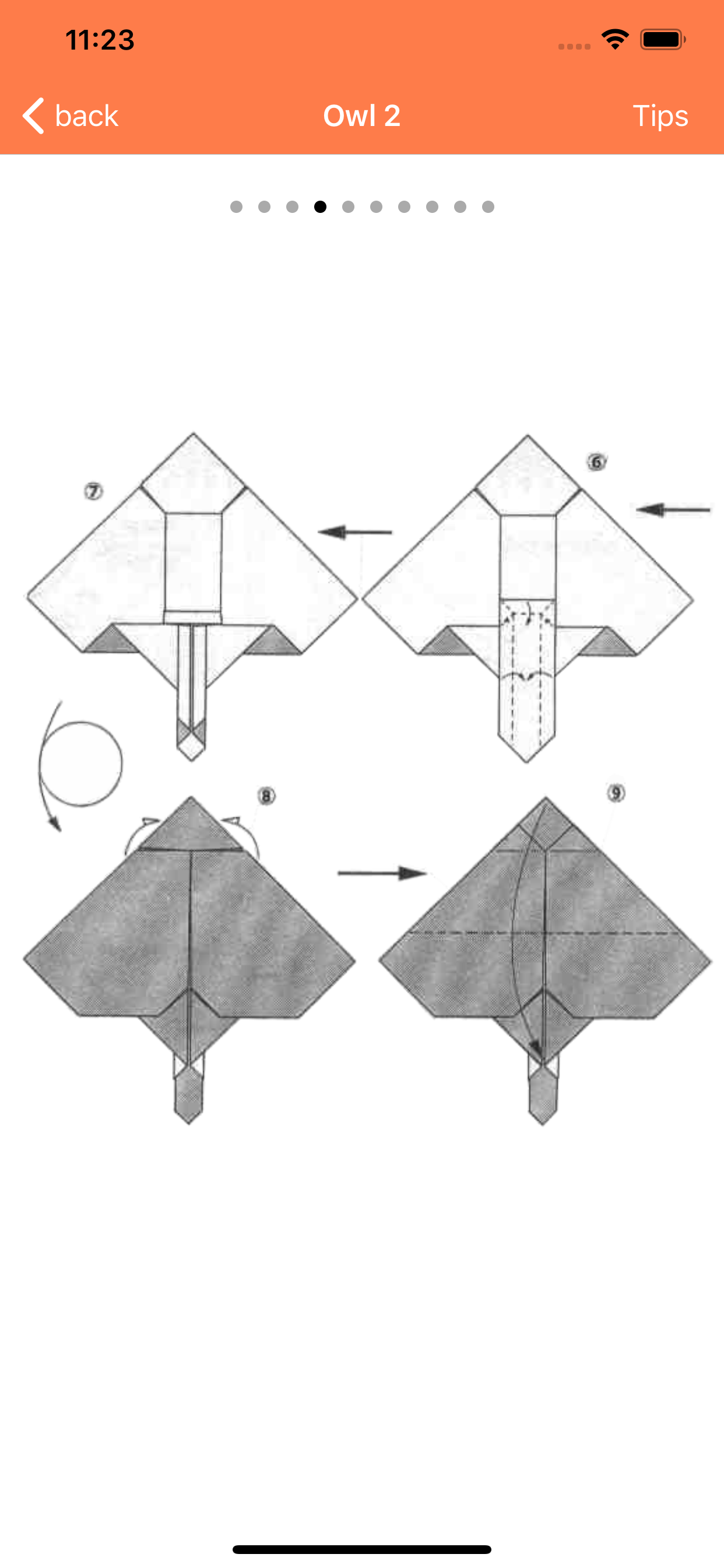 Origami Fun