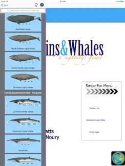 Dolphins and Whales iPad image 1
