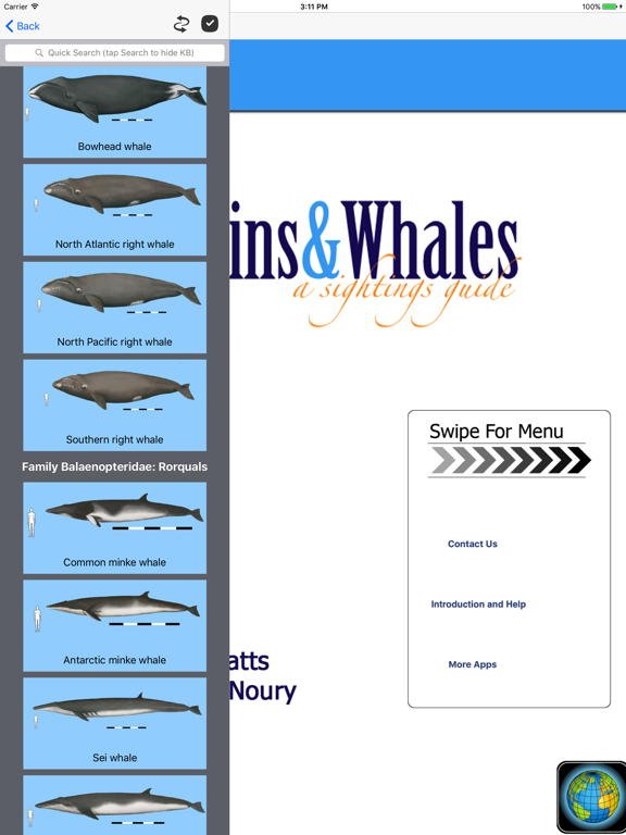Screenshot #4 pour Dolphins and Whales