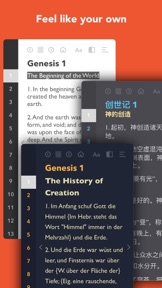 Bible InspiringLife screenshot
