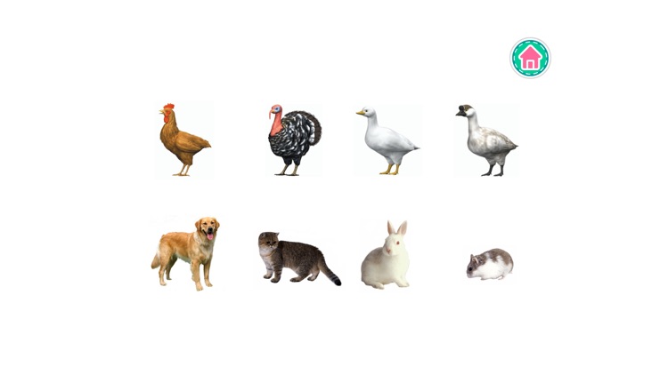 Picture Dictionary - Animals screenshot-3