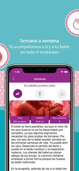 Game screenshot Embarazo Semana a Semana hack