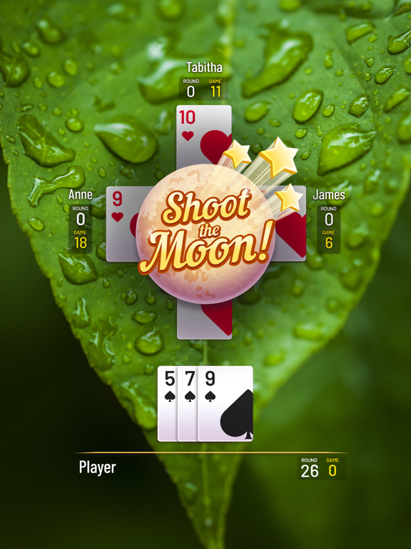 Classic Hearts iPad screenshot