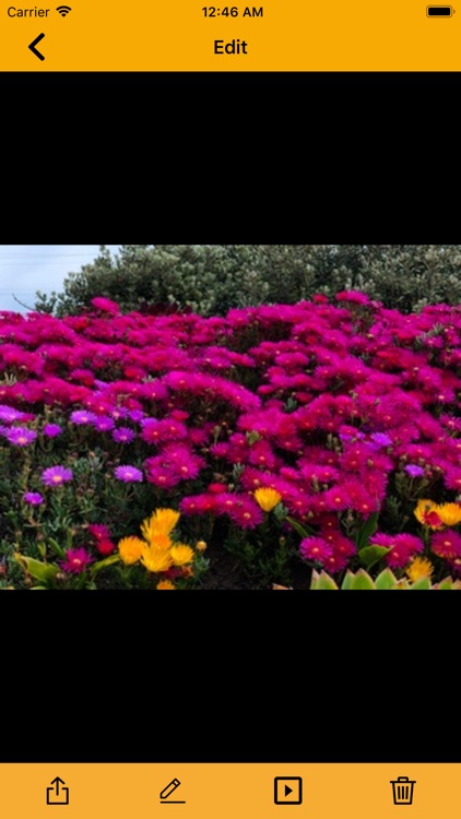 Gallery Media : File Manager screenshot-4