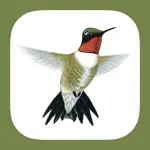 Sibley Guide to Hummingbirds App Positive Reviews