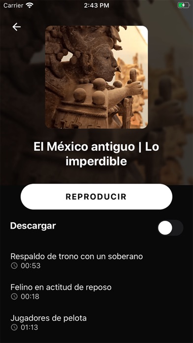 Museo Amparo Plus Screenshot