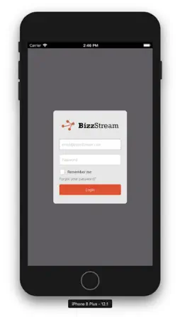 BizzStream screenshot 1