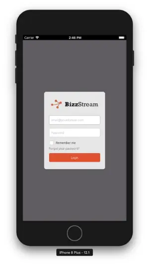 BizzStream screenshot 1