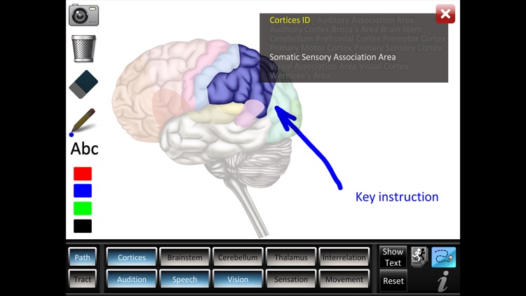 Pathway Tract ID screenshot-3