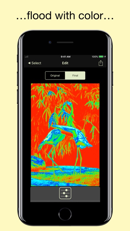 Flood - Photo Effect