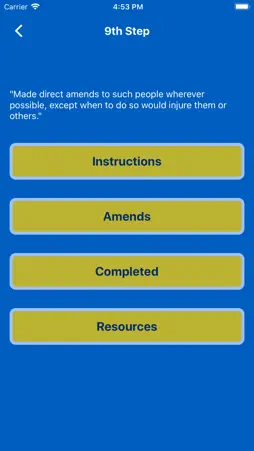 AA Steps 8/9 screenshot 5