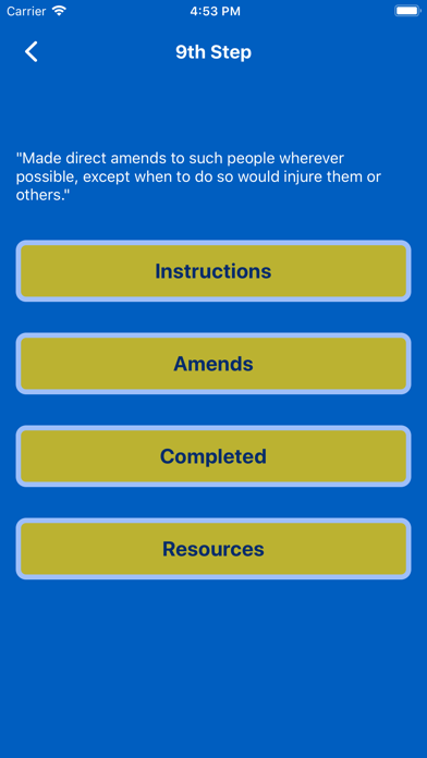 AA Steps 8/9 iPhone screenshot 5 - Lifestyle app