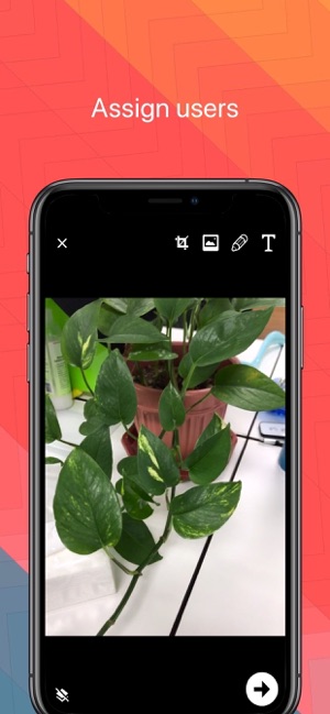Diversify(圖3)-速報App