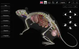 Game screenshot 3D Rat Anatomy mod apk