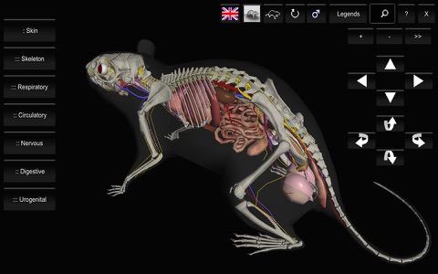 3D Rat Anatomyのおすすめ画像1