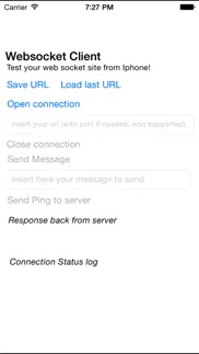 websocket client iphone screenshot 1