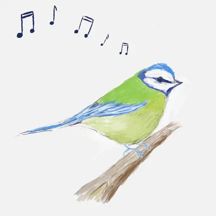 Bird Song ID (UK) Cheats