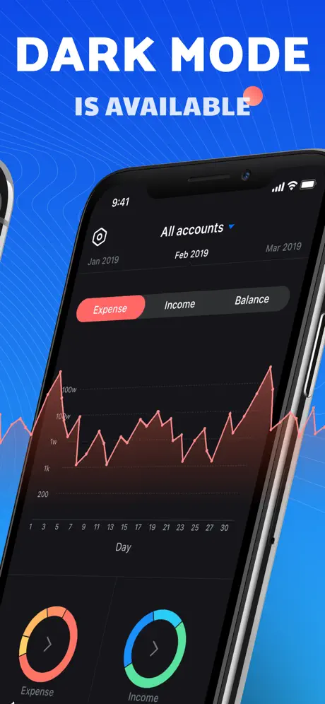 Pocket Expense 6
