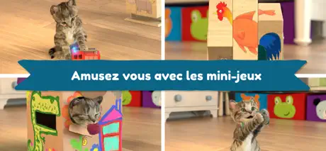 Chaton Mignon: Jeux de chat 3D
