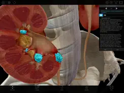 Physiology & Pathology iPad image 4