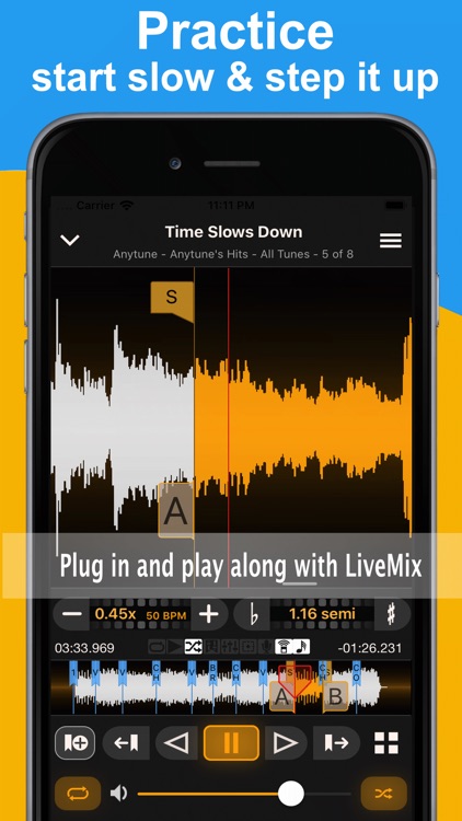 Anytune Pro+