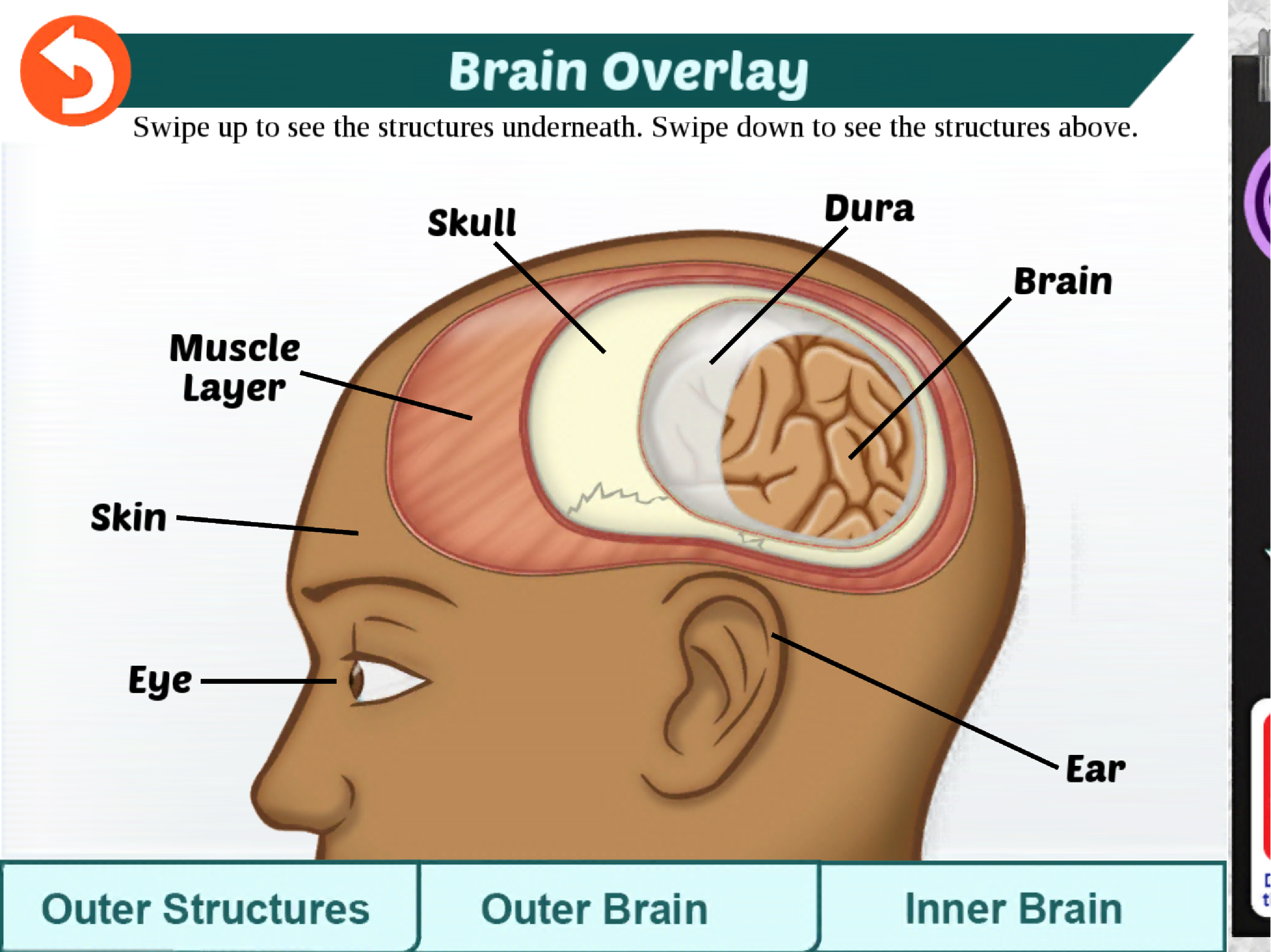 Rebound: Beating Concussions screenshot 7