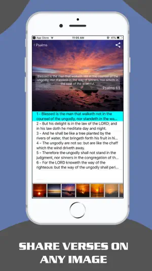 Proverbs & Psalms - King James screenshot 4