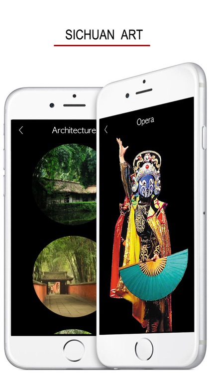 Sichuanese - Chinese Dialect screenshot-5