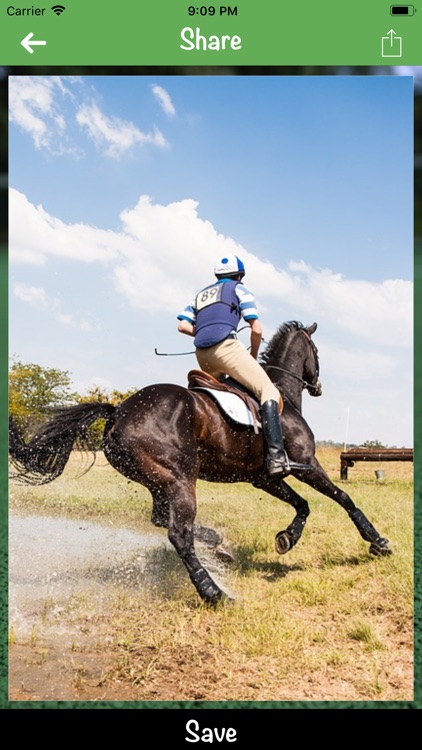 Sports quotes-wallpaper