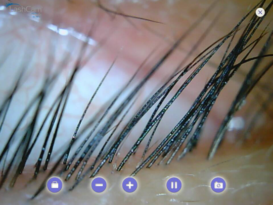Screenshot #4 pour LashCam