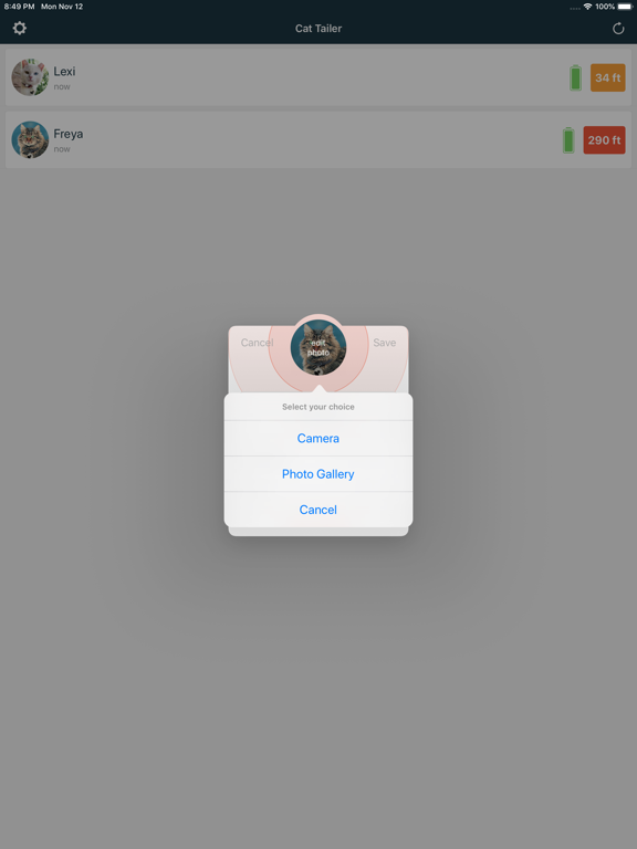 Cat Tailer iPad screenshot 4 - Lifestyle app