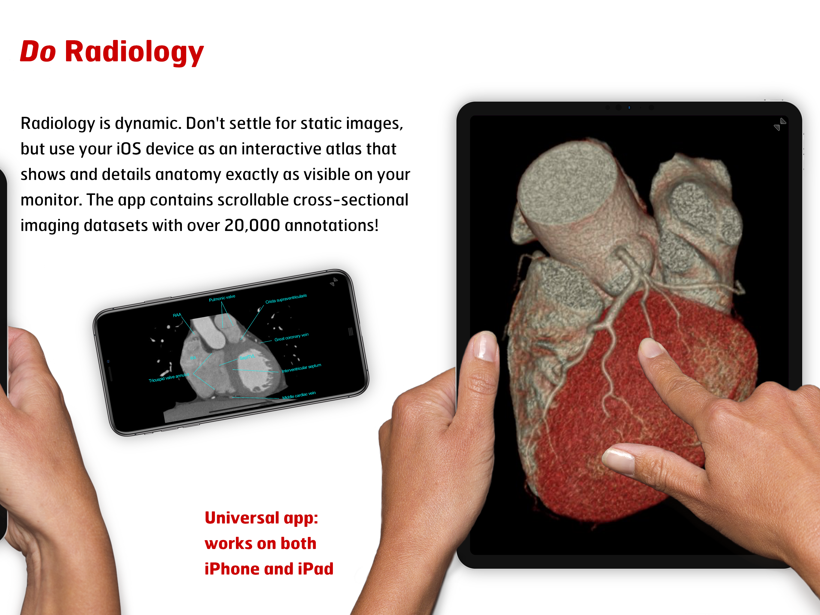 Radiology - Clinical Anatomy