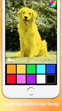 Game screenshot Color Zoo Lite apk
