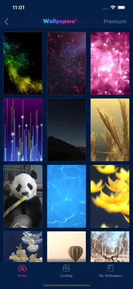 Game screenshot Live Wallpapers · mod apk