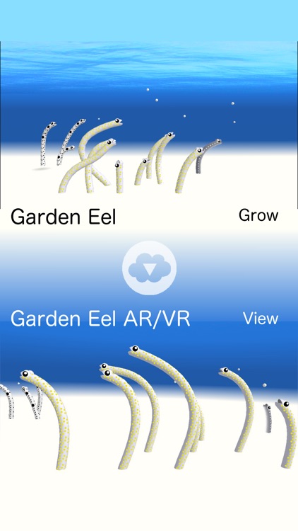 Garden Eel AR/VR screenshot-4