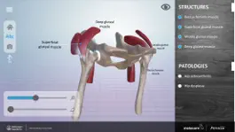Game screenshot 3D Joints Tool apk